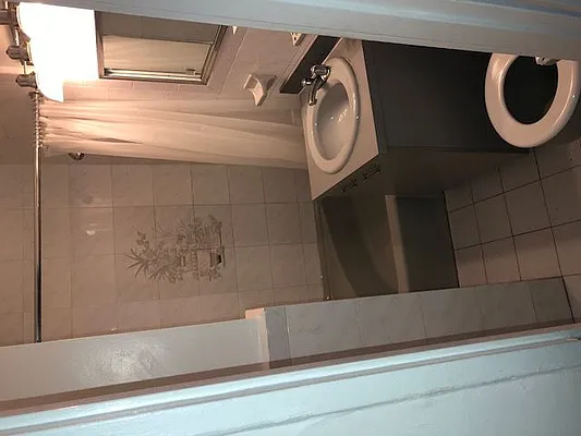 Rented by Eric Goodman Realty Corp | media 26