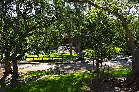 Greynolds park is only 3 minutes away driving. The park offers areas for group picnics, two playgrounds, walking paths and trails, and opportunities for bird-watching with scenic views of the Oleta River. A fishing dock, canoe/kayak launch, and bark park