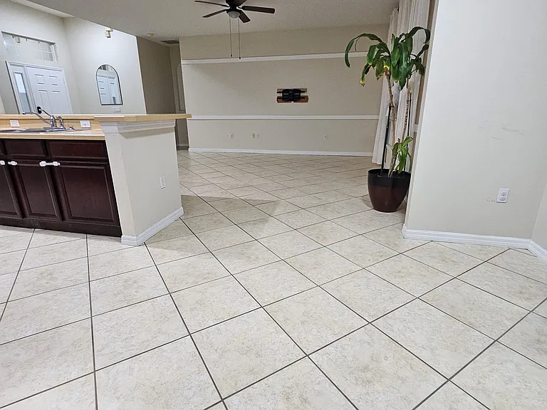 3805 Blue Dasher Dr — Photo 5