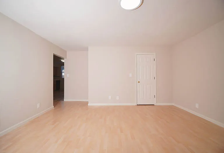 2931 Louis Rd — Photo 5