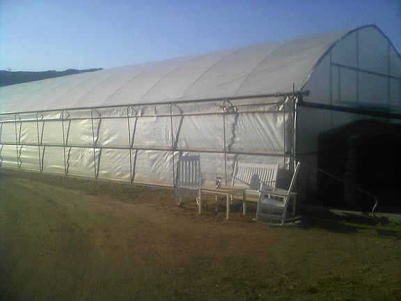 6000 sf green house
