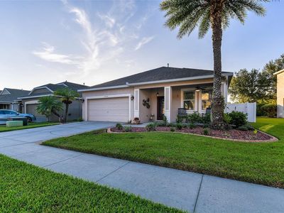19531 Sunset Bay Dr, Land O Lakes, FL, 34638