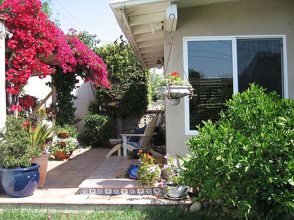 Back yard/patio area