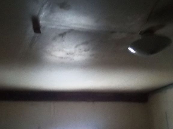 2nd image of 209 Halyday St