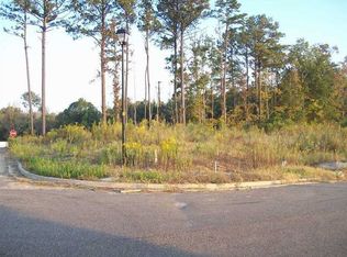 461 Silver Hl, Pearl, MS 39208