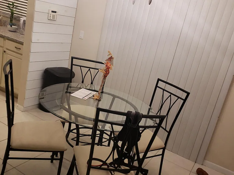 11899 Raintree Dr — Photo 6