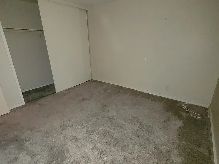 Downstairs Bedroom 1