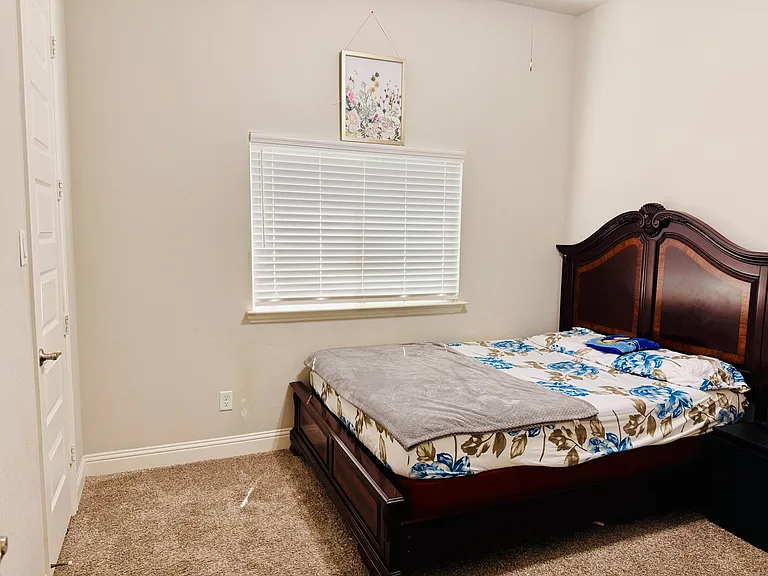 1217 Horsemint Dr — Photo 21
