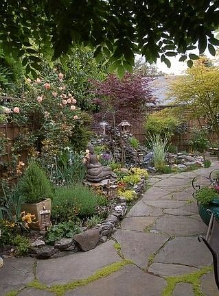 Back garden