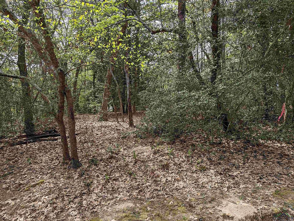 2nd image of Whipporwill Lane Lot 202 Section 2 Holly Lake Rnch