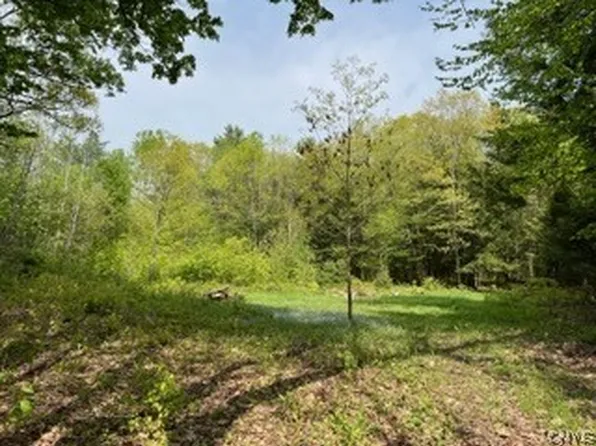 Millers Grove Rd #2, Dolgeville, NY 13329