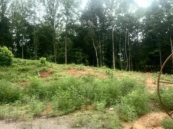 20 Oriole Ct, Bedford, VA 24523