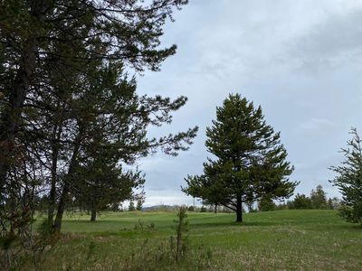 211 Jussila Bow Pl, McCall, ID, 83638