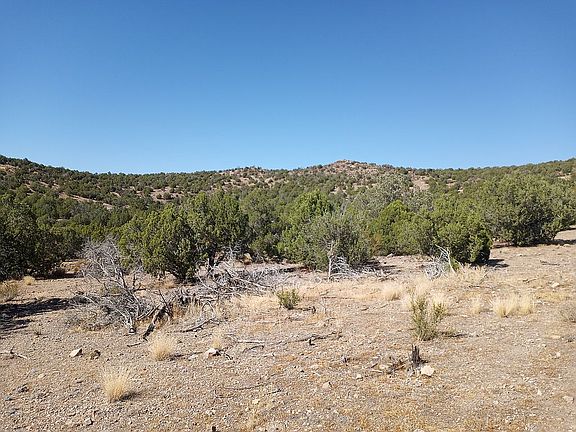 5th image of 19317 E Willow Creek Rd