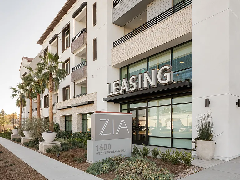 Zia — Photo 10