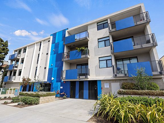 Sidewalk View of Palm Blue by Wiseman