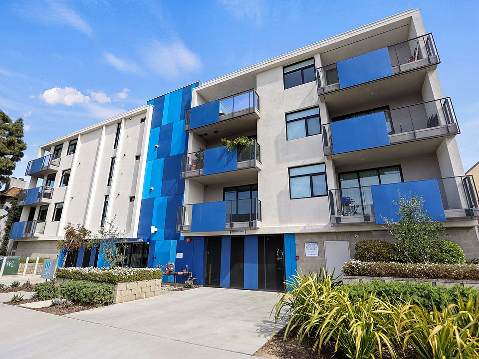 Sidewalk View of Palm Blue by Wiseman