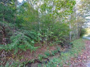 Gunter Corner Rd, Parrottsville, TN 37843