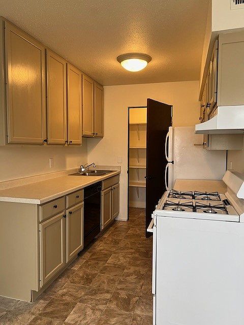 1st image of 335 17th Ave N APT 6