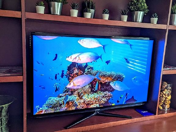 TV with streaming and a cable channel lineup.