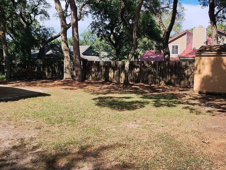 Back yard