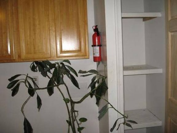 pantry in the kitchen, ne