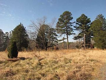 2nd image of 395 Jones Rd