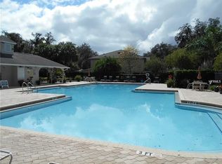 15814 Fishhawk View Dr, Lithia, FL 33547