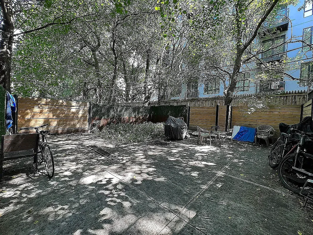 298 Ellery Street — Photo 3