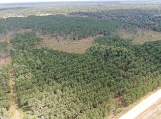 40 AC 16th Ave Acres, Arkdale, WI 54613