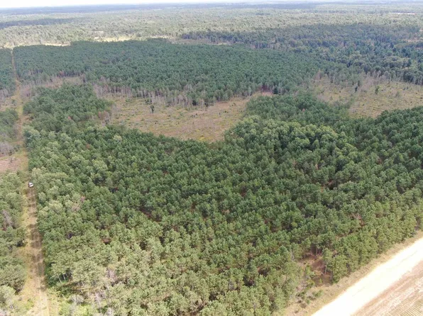 80 AC 16th Ave Acres, Arkdale, WI 54613