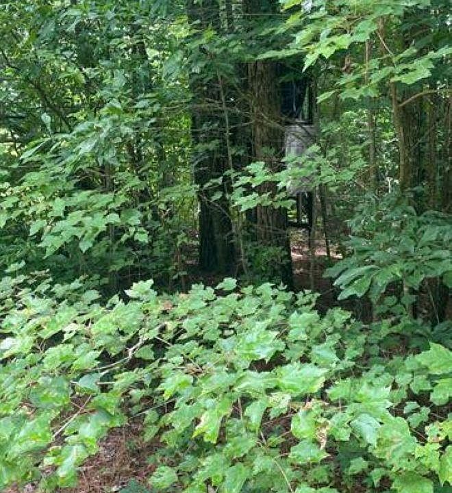 2nd image of County Road 1196