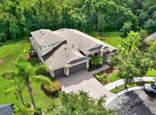 10015 Hazelnut Ct, Tampa, FL 33647