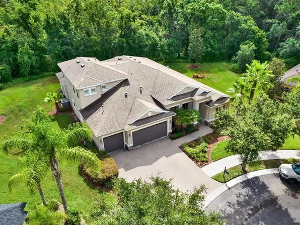 10015 Hazelnut Ct, Tampa, FL 33647