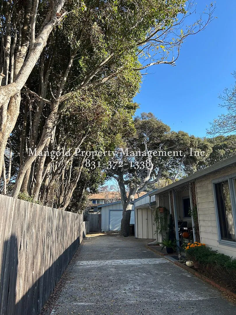304bran — Photo 3