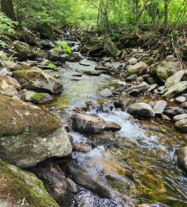 00 Tarbell Hill Road, Perkinsville, VT, 05151