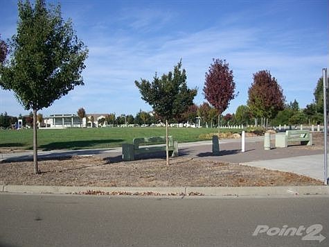 View of Park