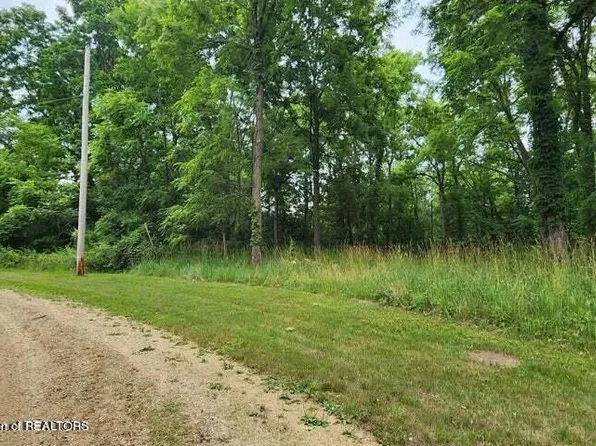 Spaulding Ct, Bellevue, MI 49021