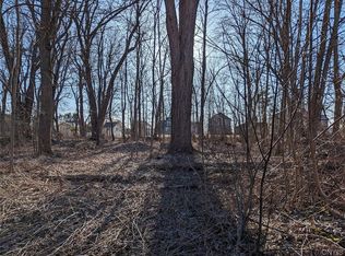 0 Nys Rte LOT 44, Blossvale, NY 13308