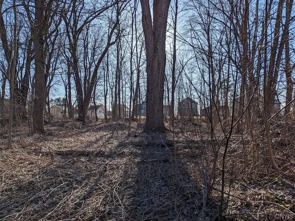 0 Nys Rte Lot 44, Blossvale, NY 13308