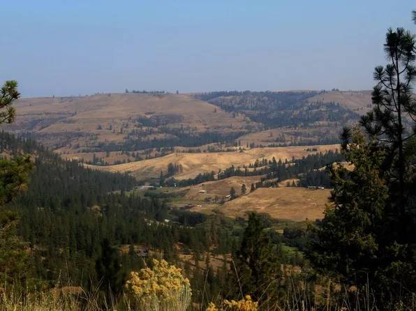 35770 Spruce Grouse Ln N, Davenport, WA 99122