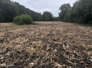 450 Swamp Rd, Pantego, NC 27860