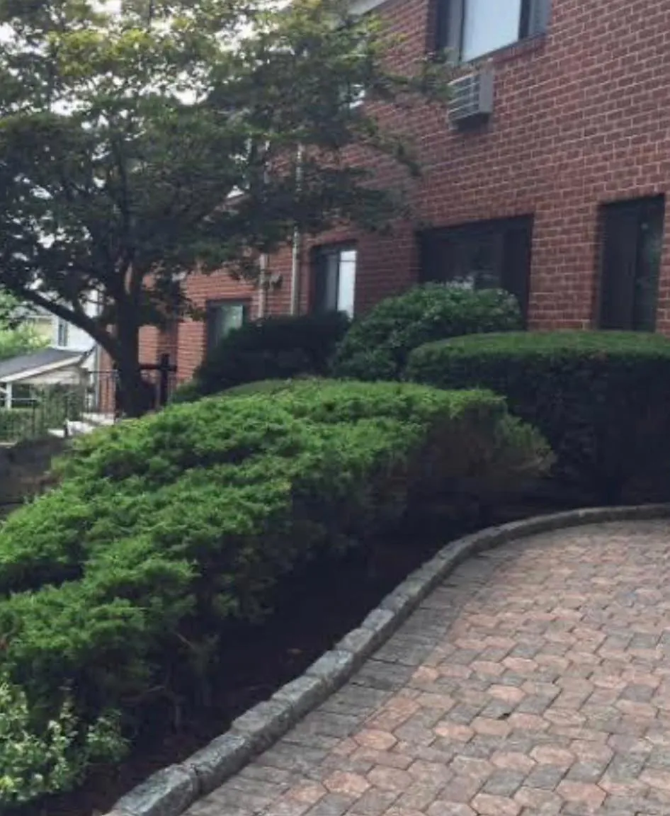 1 bed, $1,975 — Photo 1