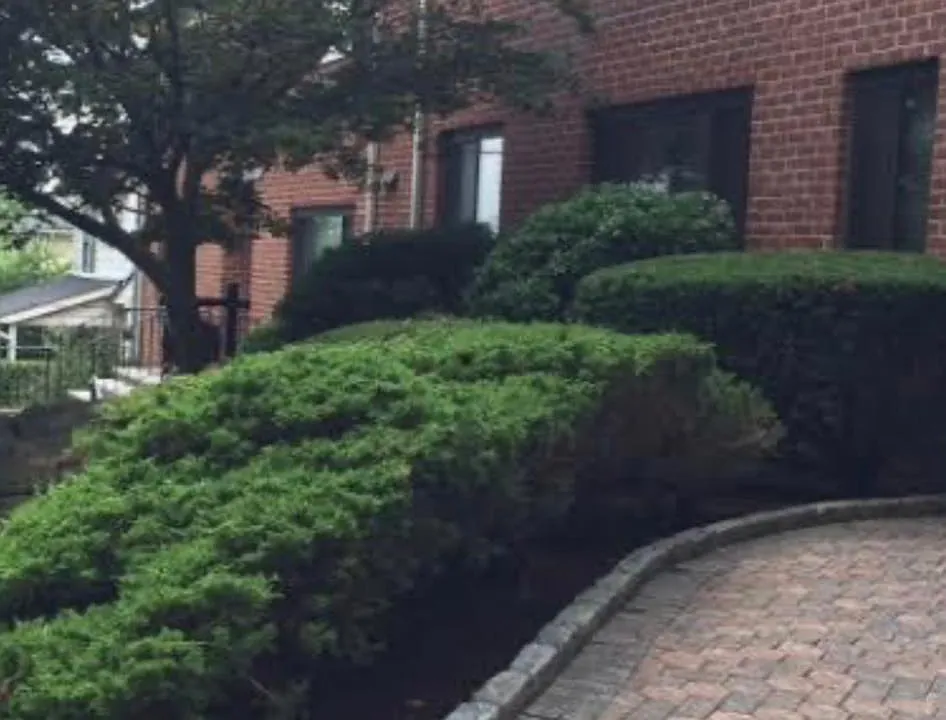 105 N Kensico Ave #1-C