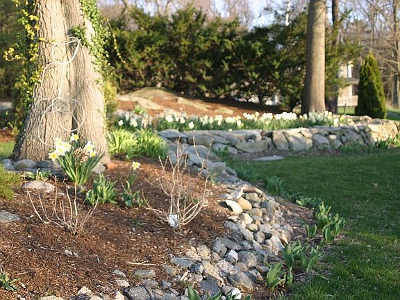 rock garden with flowers