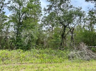 1231 W Nankeen Dr, Citrus Springs, FL 34434