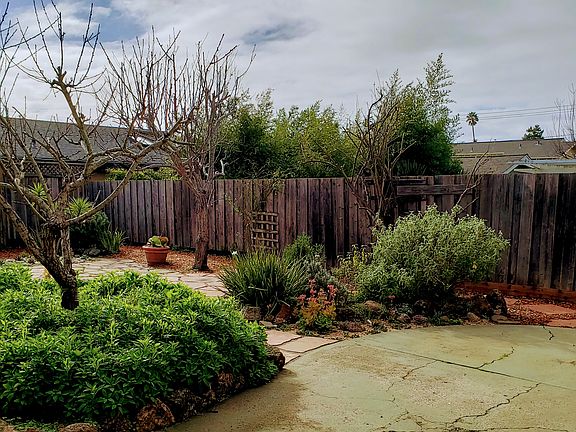 Back yard_02092019