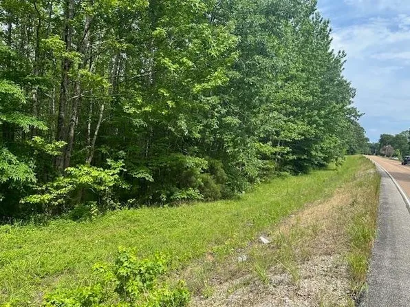 0 Highway 69, Morris Chapel, TN 38361