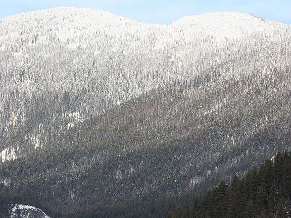 beautiful mountain views