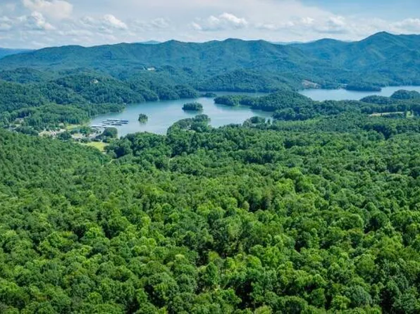 Tbd Black Bear Dr, Butler, TN 37640